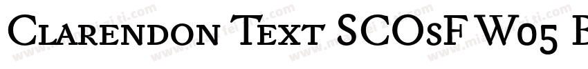 Clarendon Text SCOsF W05 Bold字体转换